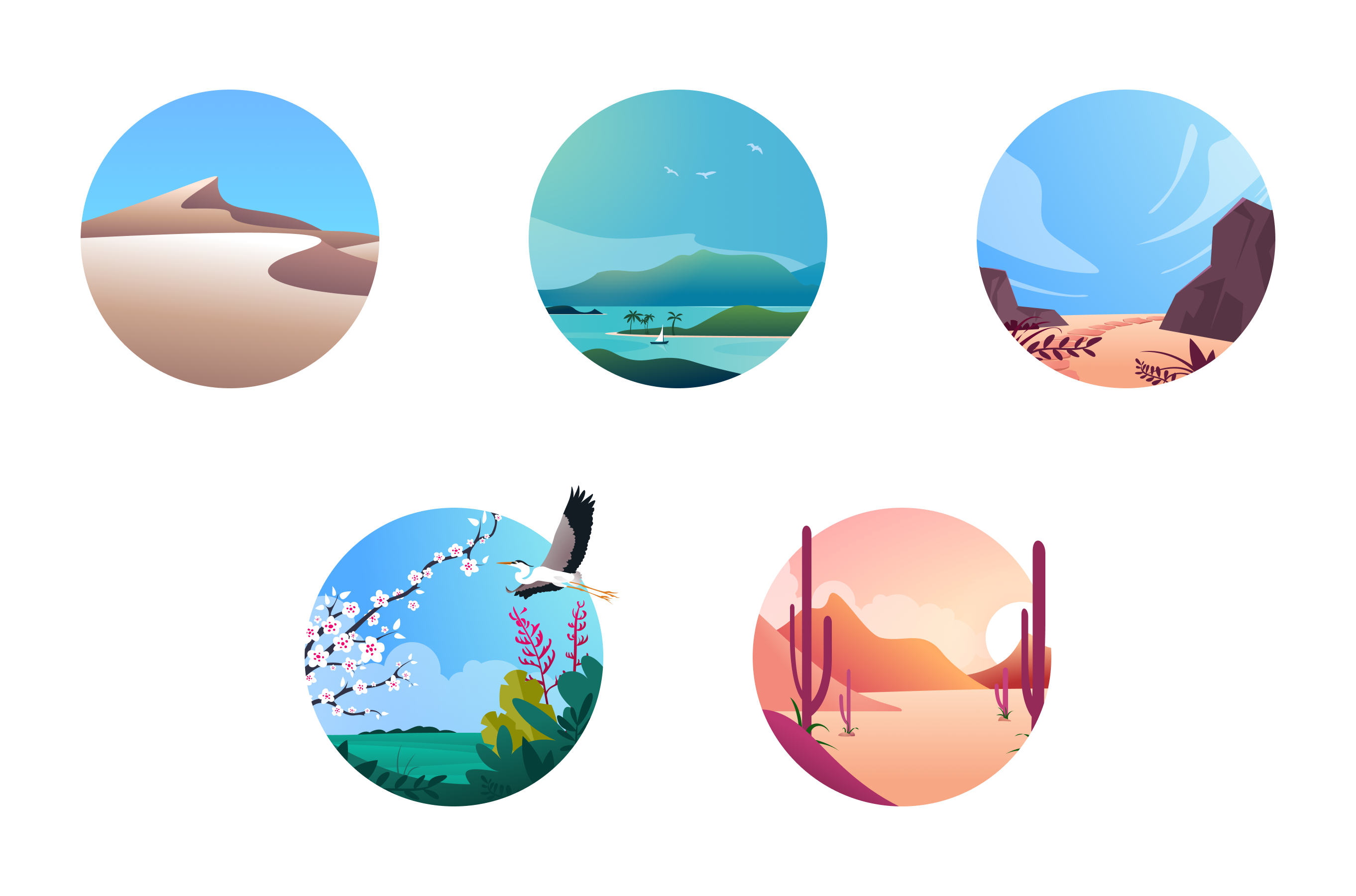 Nature Illustrations
