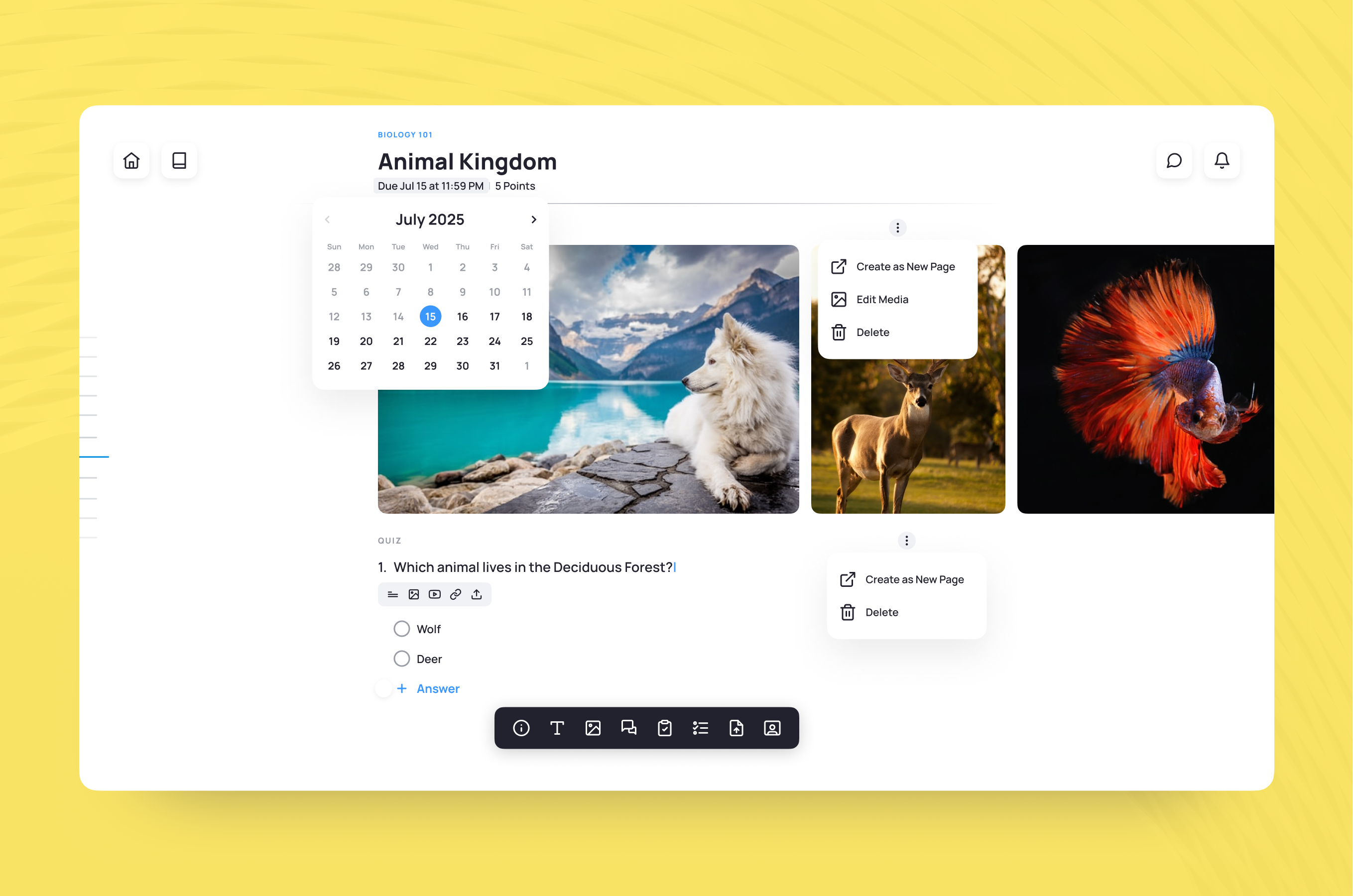 Canvas LMS app